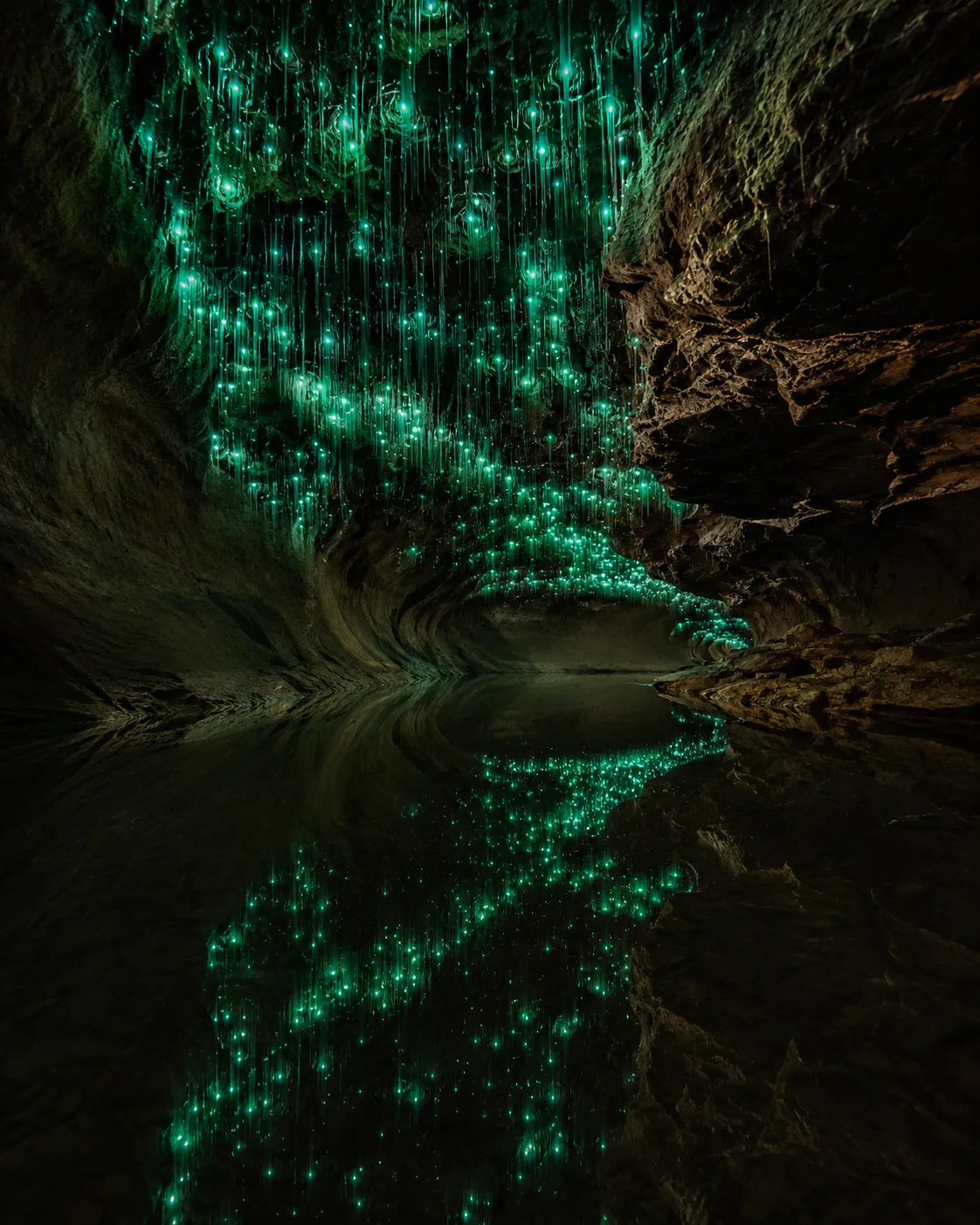 A glowworm cave mirrored in still water.