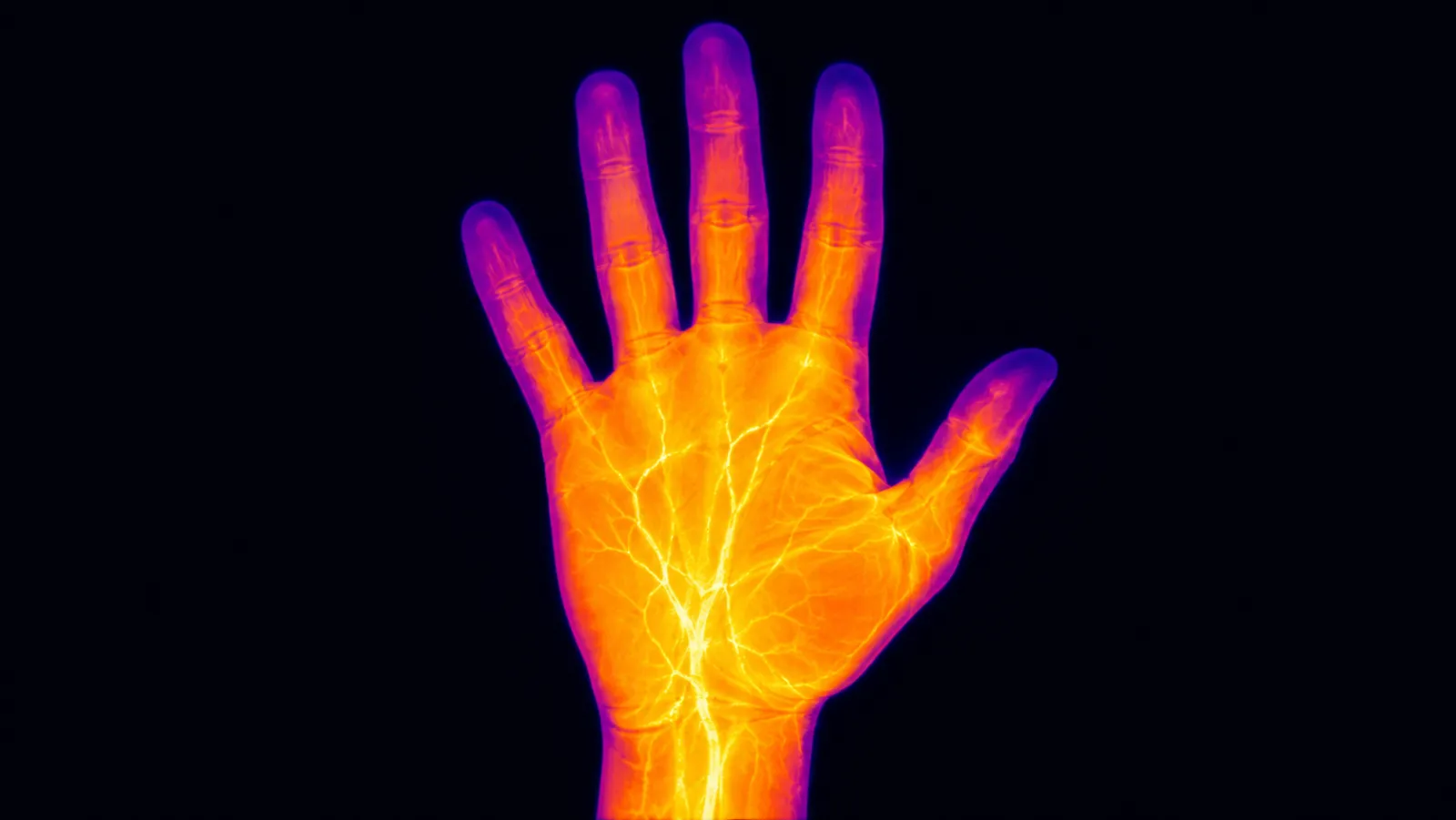 Thermal / Mid Infrared