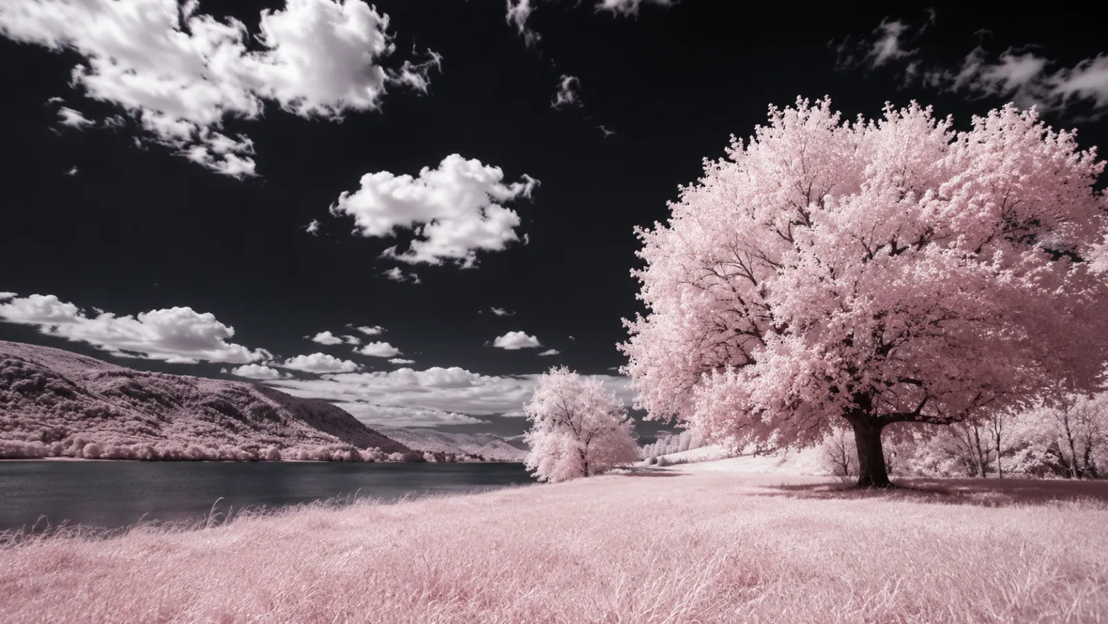 Near Infrared