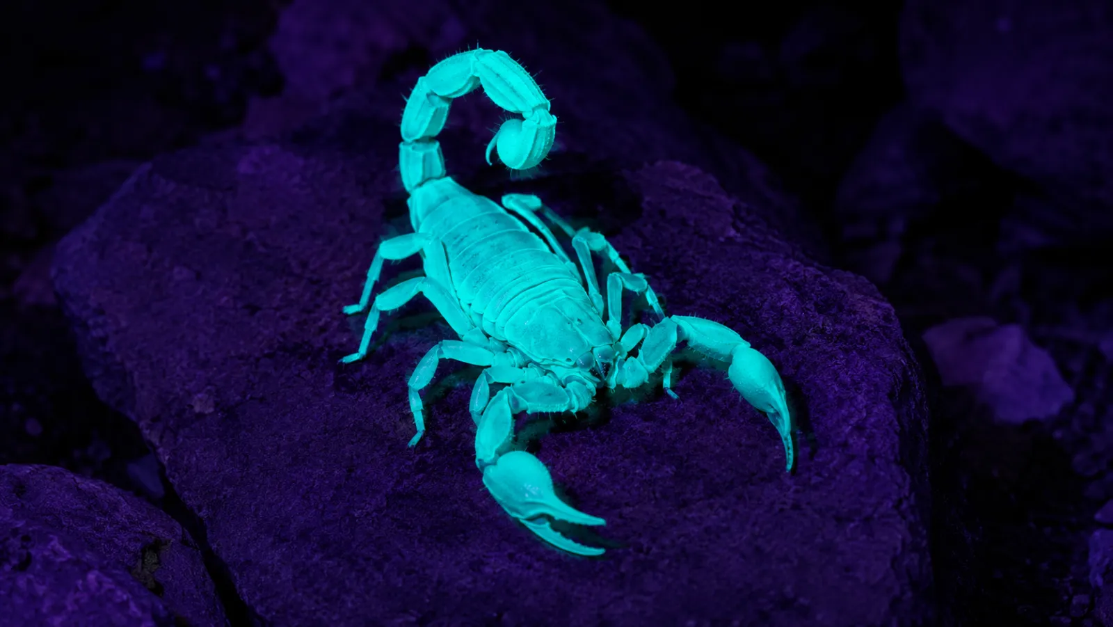 UV-A